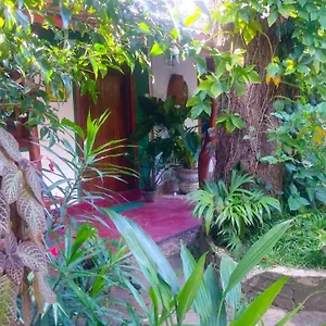 https://gangula-eco.kandyhotelsnow.com